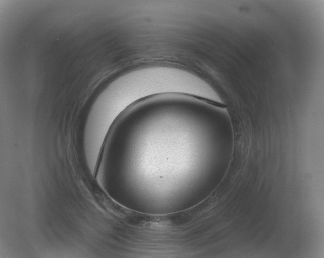 X0000081320548200701181931