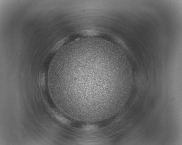 X0000081320549200701181931