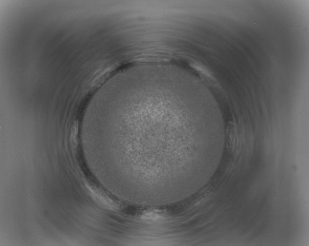 X0000081320550200701181931