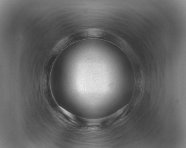 X0000081320552200701181931