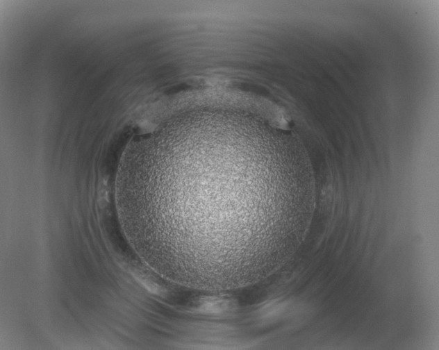 X0000081320555200701181931