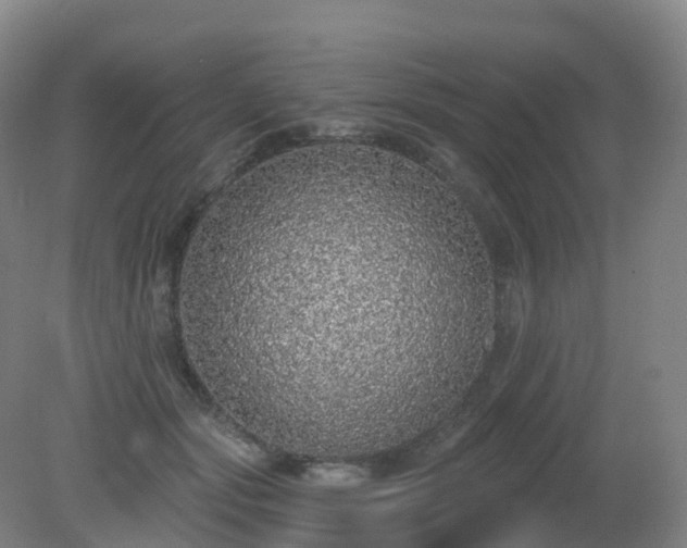 X0000081320557200701181931
