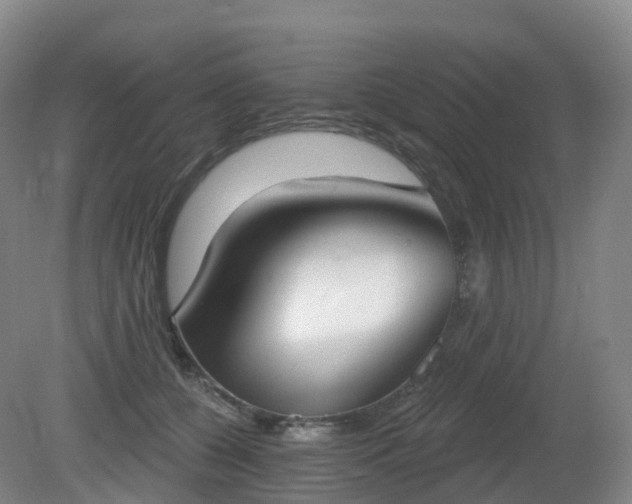 X0000081320560200701181931