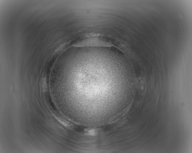 X0000081320564200701181931