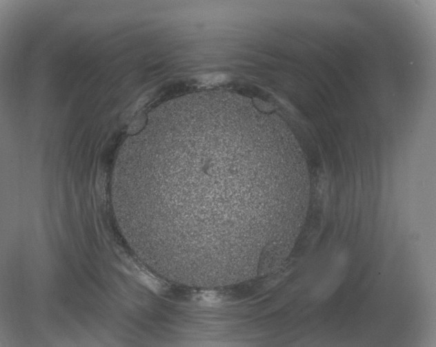 X0000081320565200701181931