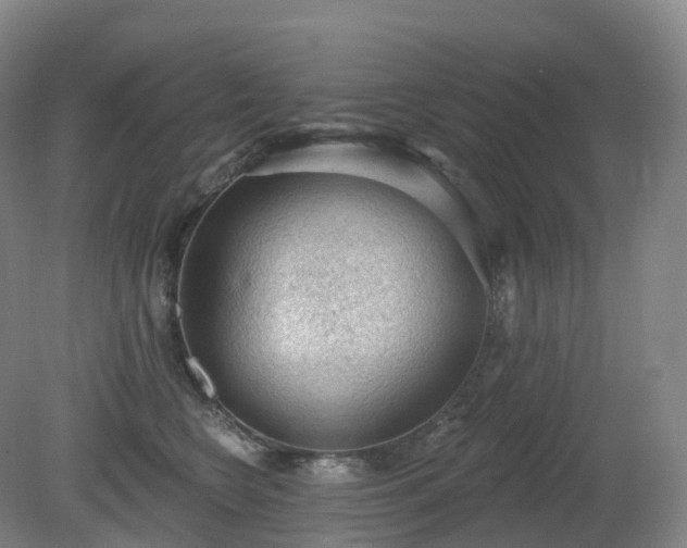 X0000081320566200701181931
