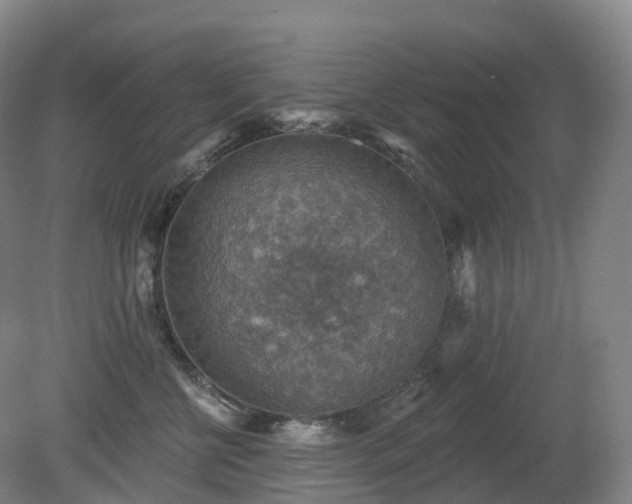 X0000081320570200701181931