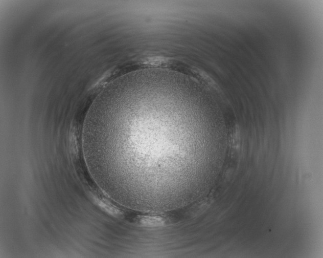 X0000081320572200701181931