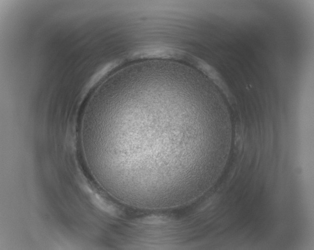 X0000081320578200701181930