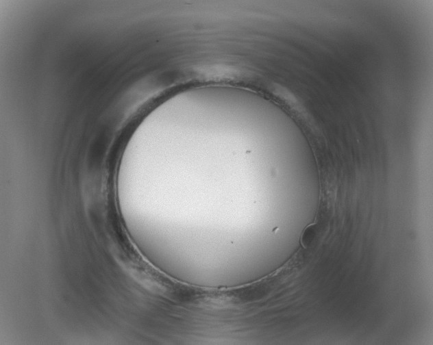 X0000081320583200701181930