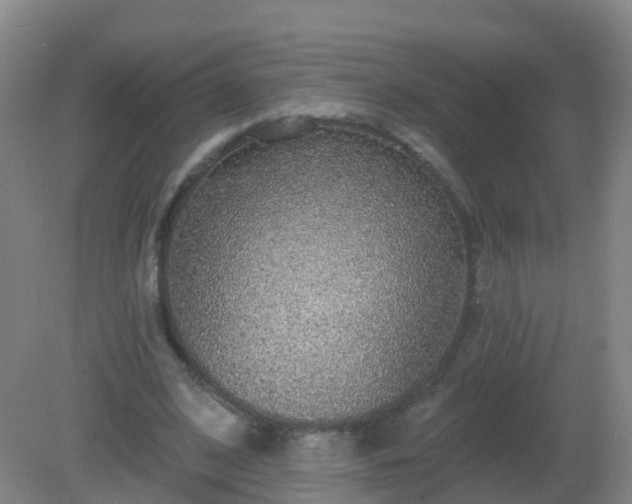 X0000081320584200701181930