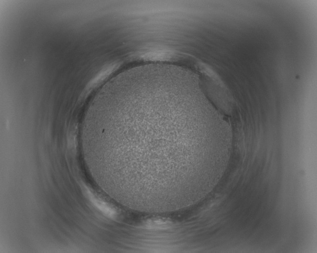 X0000081320586200701181930