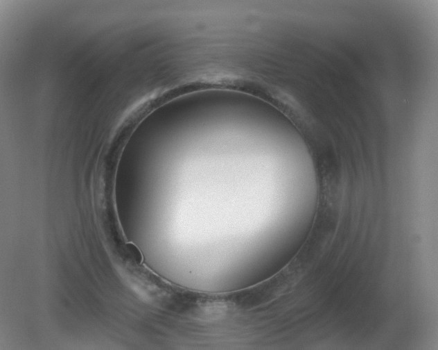 X0000081320587200701181930