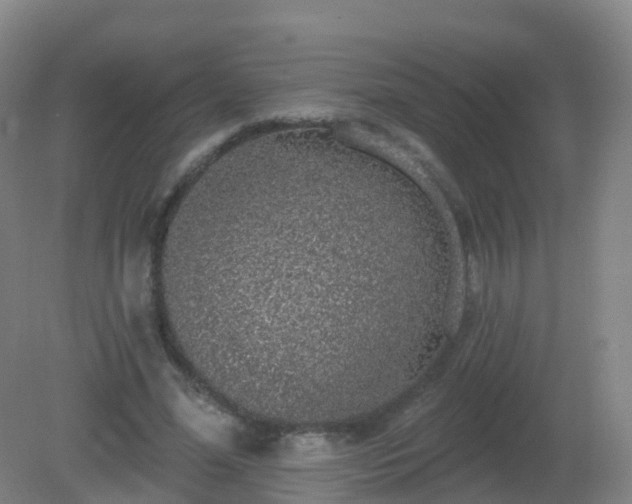 X0000081320588200701181930