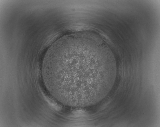 X0000081320594200701181930