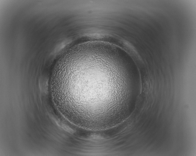 X0000081320596200701181930