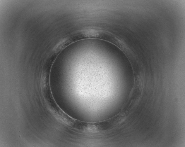 X0000081320600200701181930