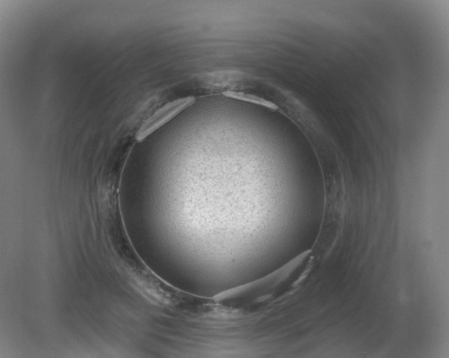 X0000081320601200701181930