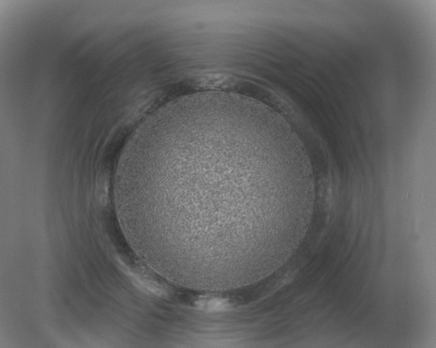 X0000081320602200701181930