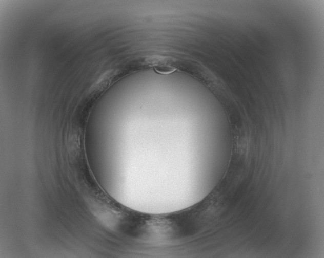 X0000081320603200701181930