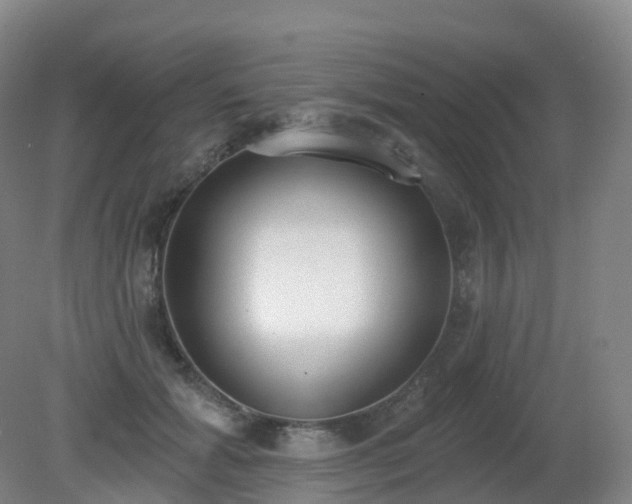 X0000081320605200701181930