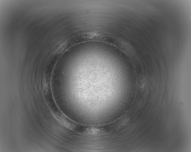 X0000081320607200701181930