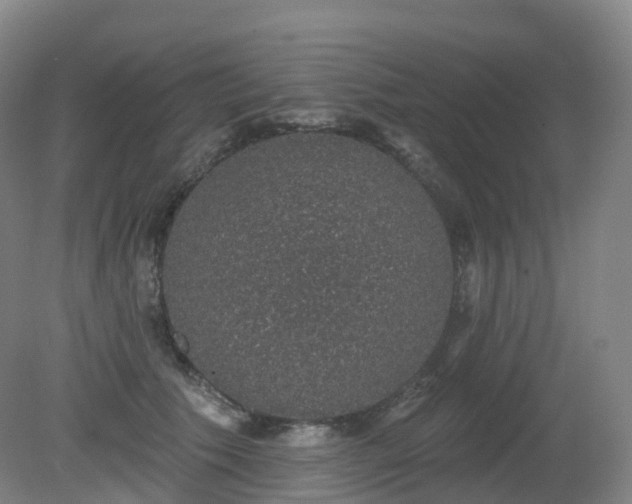 X0000081320609200701181930