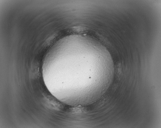X0000081320615200701181930
