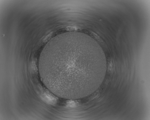 X0000081320616200701181930