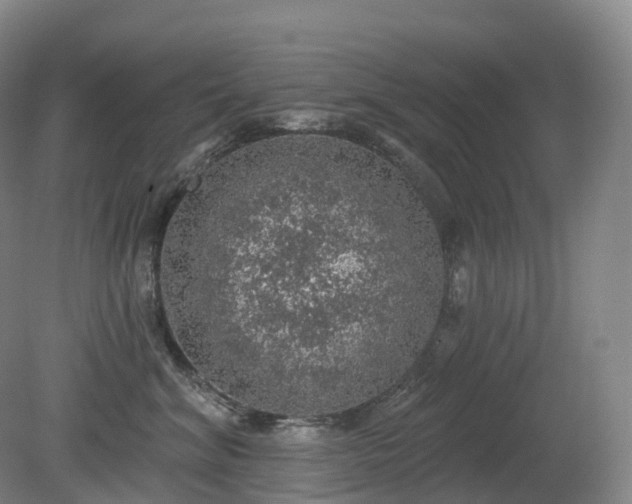 X0000081320620200701181930