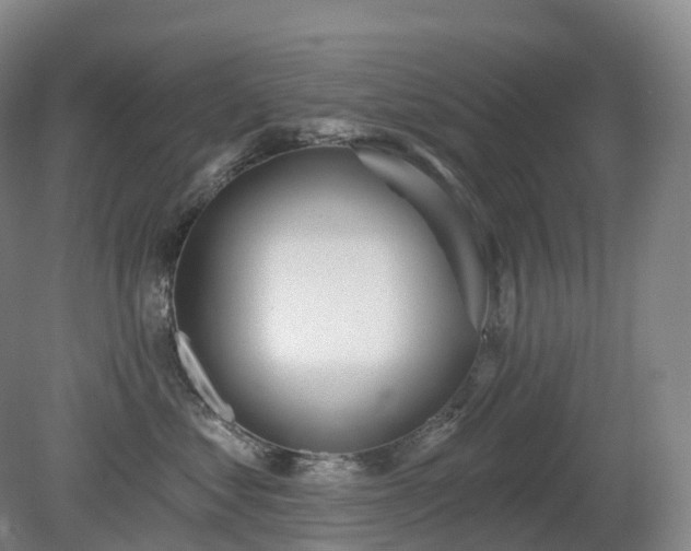 X0000081320621200701181930