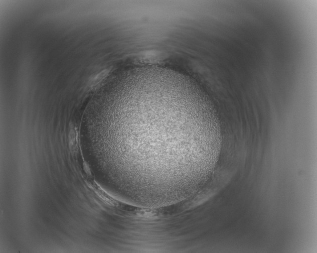 X0000081320624200701181930