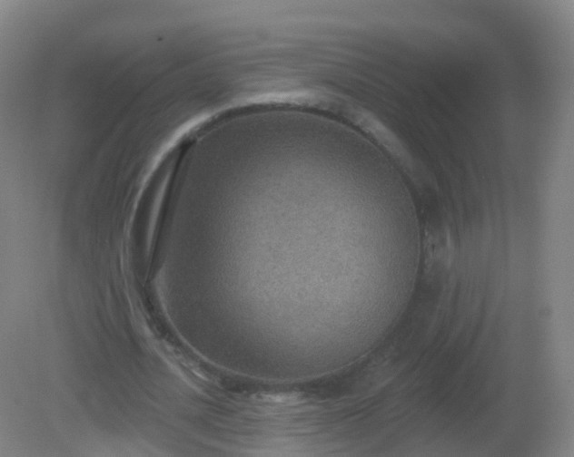 X0000081320628200701181929