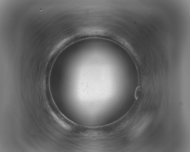 X0000081320629200701181929