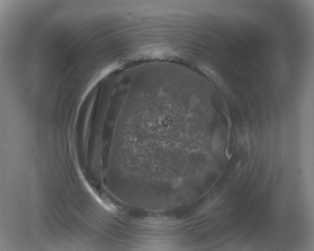 X0000081320630200701181929