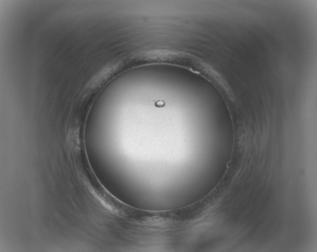 X0000081320633200701181929