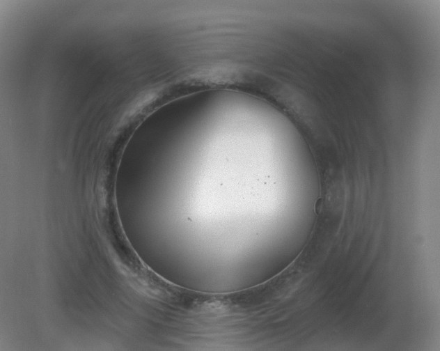 X0000081320635200701181929