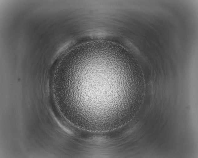 X0000081320638200701181929