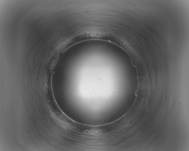 X0000081320639200701181929