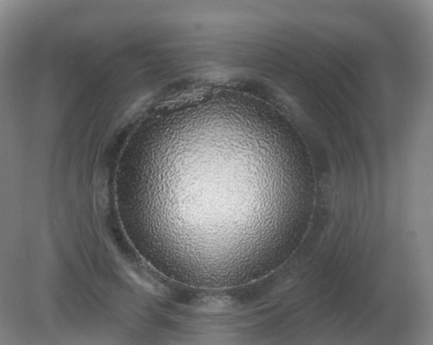 X0000081320642200701181929