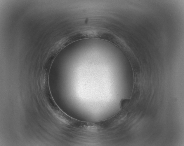 X0000081320645200701181929