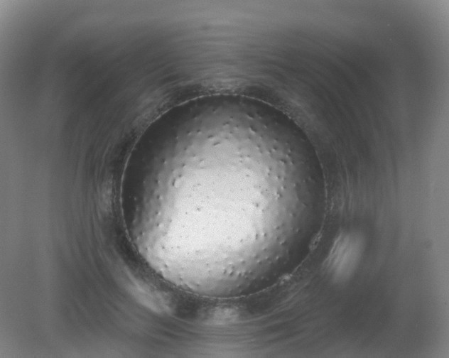 X0000081320647200701181929