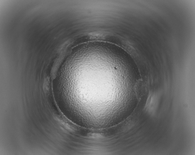X0000081320649200701181929