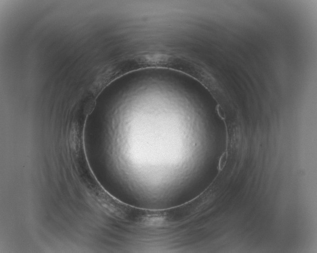 X0000081320651200701181929