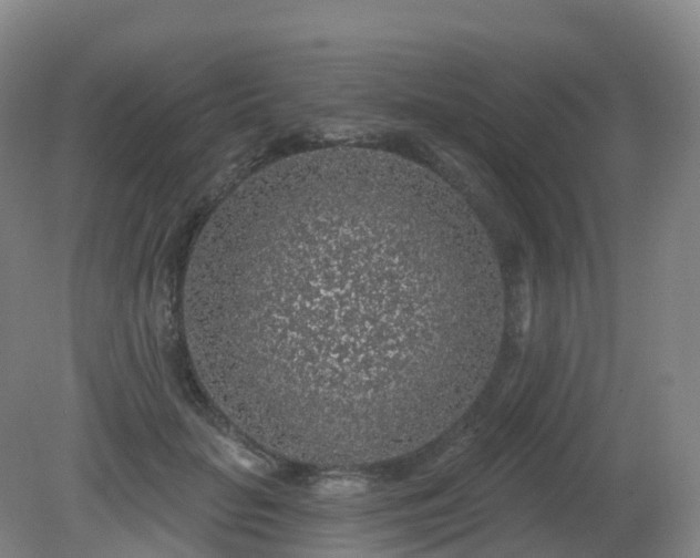 X0000081320653200701181929