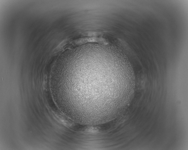 X0000081320656200701181929