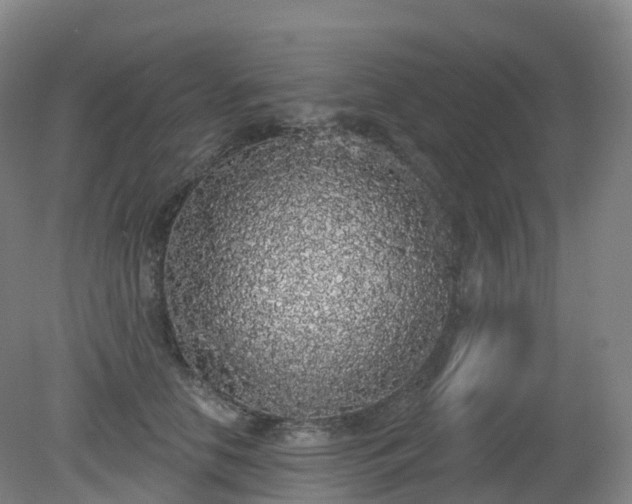 X0000081320658200701181929