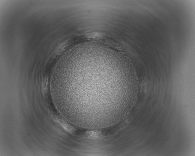 X0000081320660200701181929