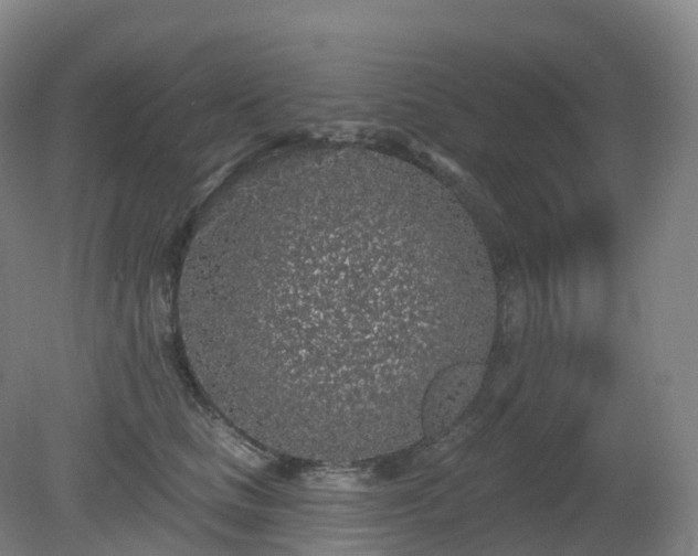 X0000081320661200701181929