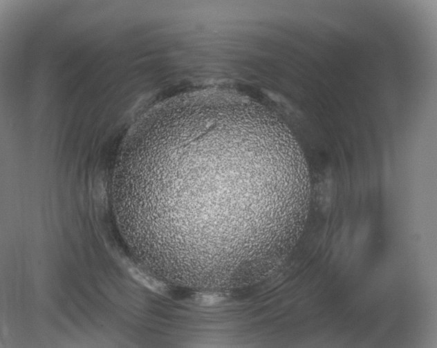 X0000081320662200701181929